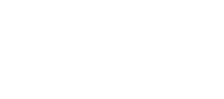 Hayden IR